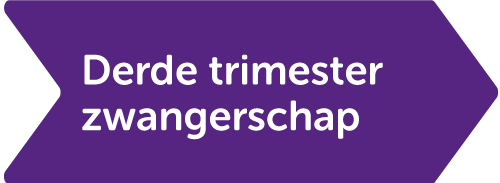 derde trimester zwangerschap