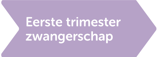 eerste trimester zwangerschap