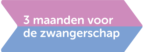 3 maanden voor de zwangerschap